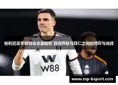 帕利尼亚冬窗转会全面解析 双向奔赴与拜仁之间的博弈与选择