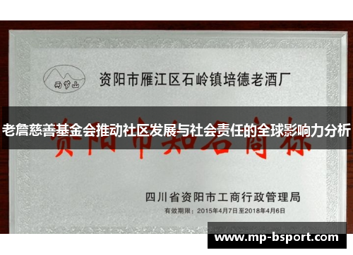 老詹慈善基金会推动社区发展与社会责任的全球影响力分析