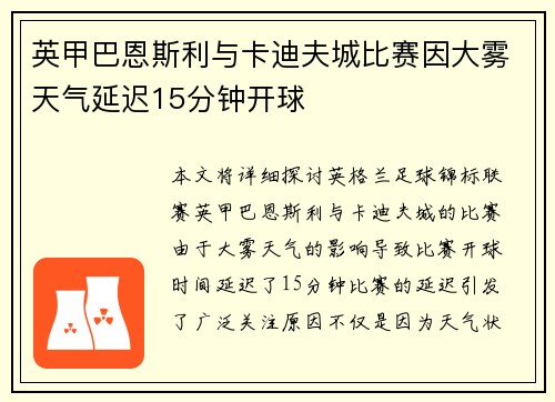 英甲巴恩斯利与卡迪夫城比赛因大雾天气延迟15分钟开球